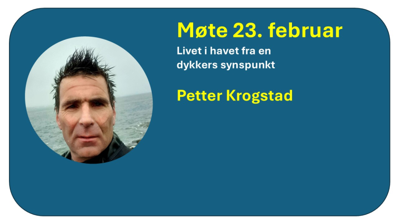 Petter Krogstad